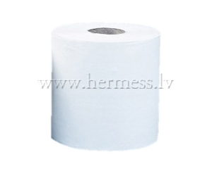 Industrilais paprs, 2 sli, ar perforciju
